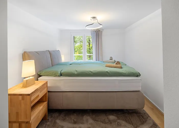 公寓 Modernes Mit Balkon Und Parkplatz, Naehe 圣加仑